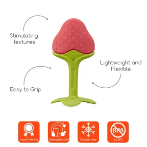 Award Winning Original Teethin’ Smart EZ Grip Fruit Teether by Innobaby - Sore Gum Relief for Front Teeth & Molars with BPA Free Teether Sensory Toy for Babies & Toddlers - Grape/Citrus/Berry