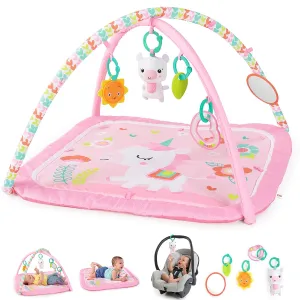Bright Starts Daydream Blooms Activity Gym & Play Mat with Take-Along Toys, Ages Newborn   , 30x18x18 Inch (Pack of 1)