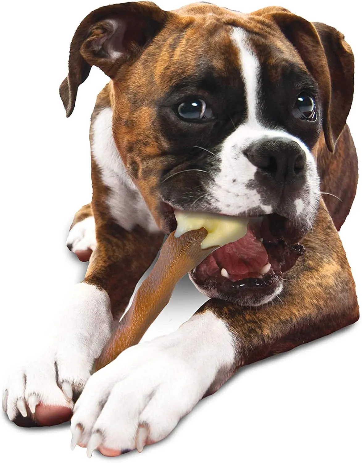 Nylabone Femur Bone Alternative Power Chew Toy for Dogs, Dog Toys for Aggressive Chewers, Beef Flavor, Large - Up to 50 lbs, 1 Count