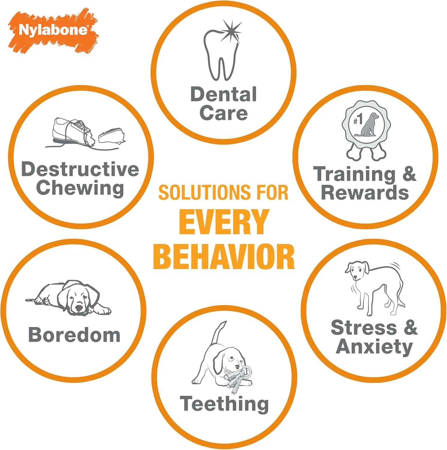 Nylabone Femur Bone Alternative Power Chew Toy for Dogs, Dog Toys for Aggressive Chewers, Beef Flavor, Large - Up to 50 lbs, 1 Count