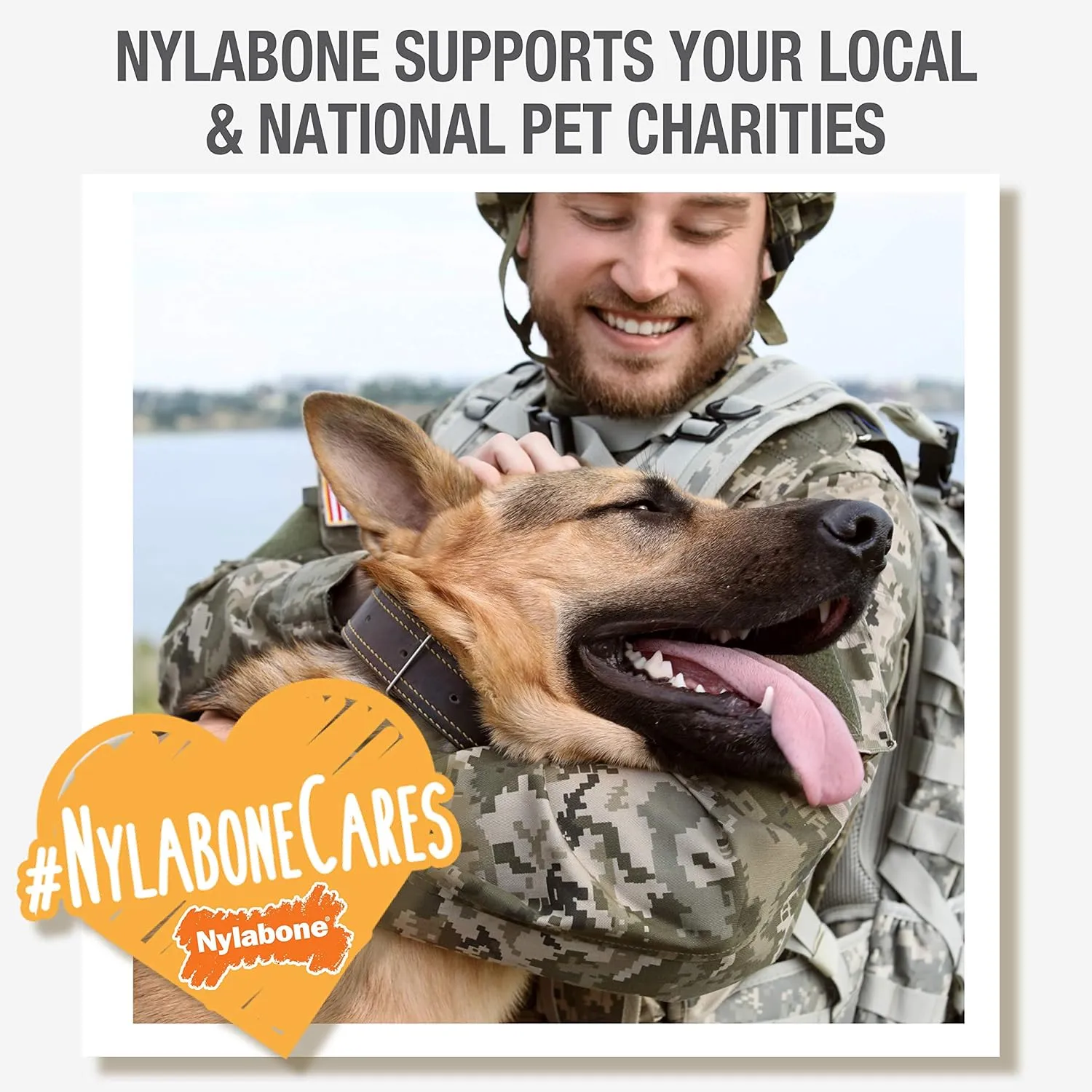 Nylabone Femur Bone Alternative Power Chew Toy for Dogs, Dog Toys for Aggressive Chewers, Beef Flavor, Large - Up to 50 lbs, 1 Count