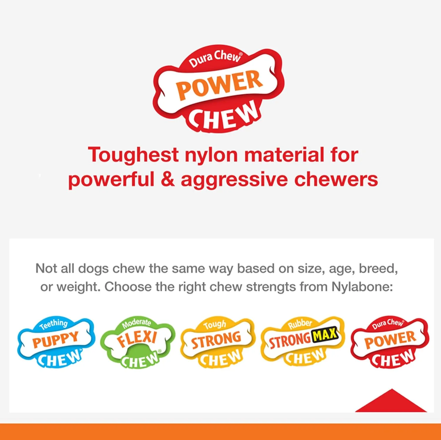 Nylabone Femur Bone Alternative Power Chew Toy for Dogs, Dog Toys for Aggressive Chewers, Beef Flavor, Large - Up to 50 lbs, 1 Count