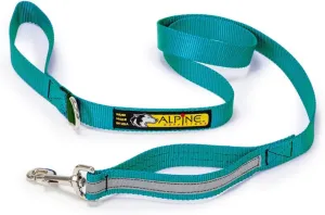 Urban Trail® Walking Leash with Traffic Handle and Accessory Ring, 1" with 3M Scotchlite Reflective Bands (Teal)